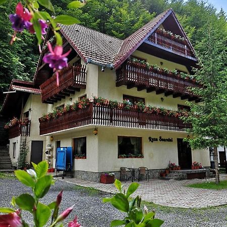 Raza Soarelui Hotel Моечу де Жос Екстериор снимка