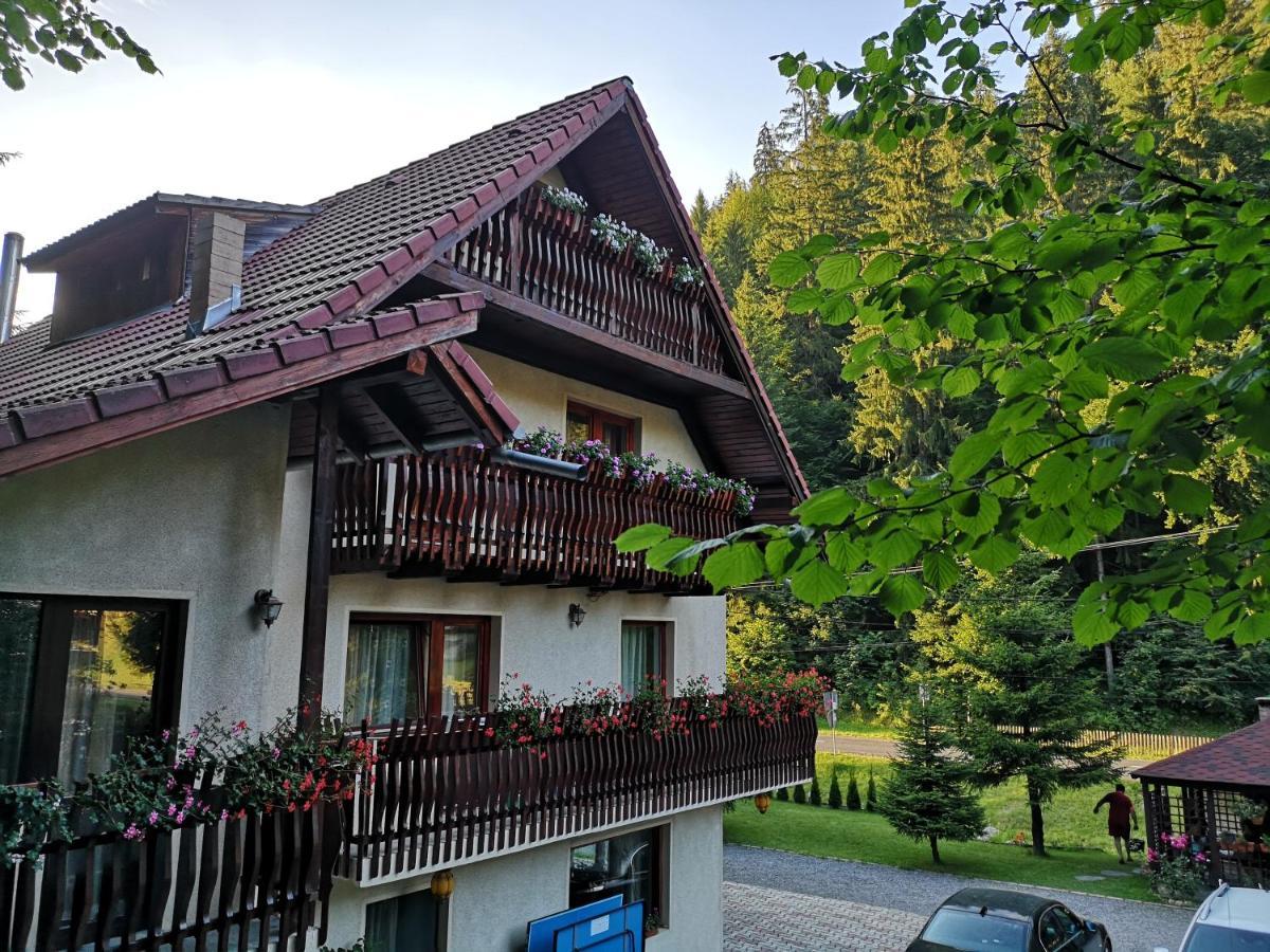 Raza Soarelui Hotel Моечу де Жос Екстериор снимка